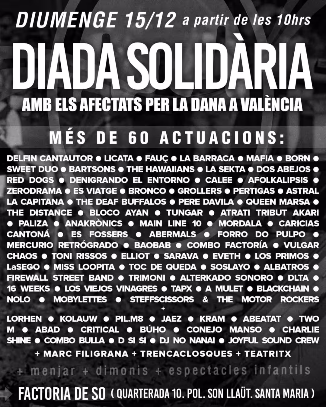 Diada Solidària DANA